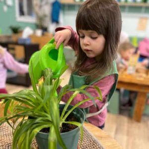 Toddler practical life